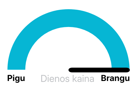 Elektros biržos kaina rytoj