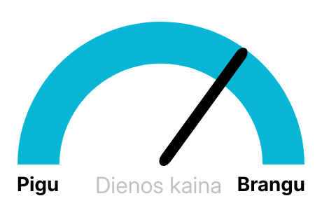 Elektros biržos kaina rytoj
