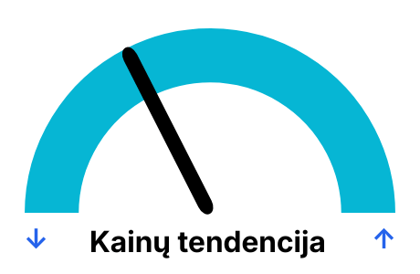 Elektros biržos kainos pagal dienas