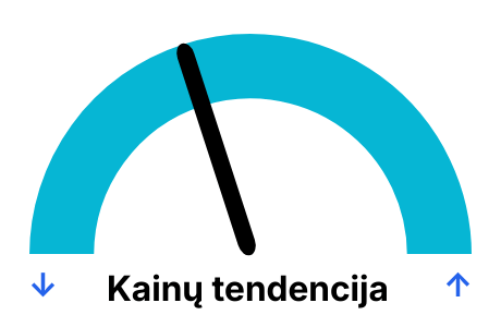 Elektros biržos kainos pagal dienas