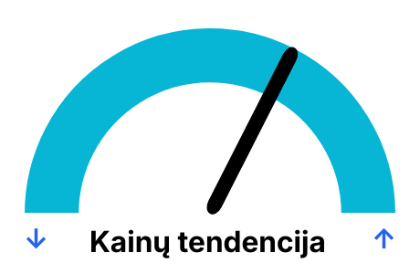 Elektros biržos kainos pagal dienas