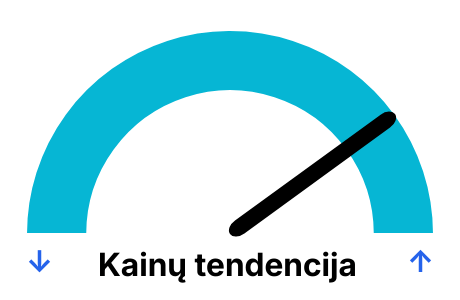 Elektros biržos kainos pagal dienas