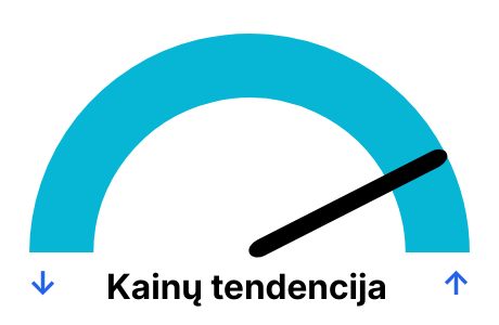 Elektros biržos kainos pagal dienas